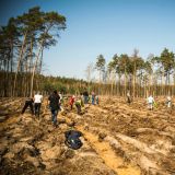 Grudziądzanie Sadzą Las 2025